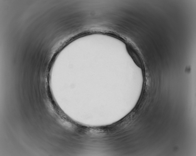 X0000115630487200912221252
