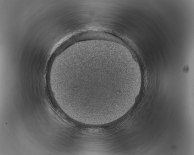X0000115630488200912221252