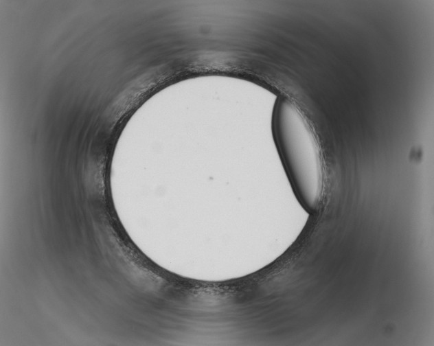 X0000115630489200912221252