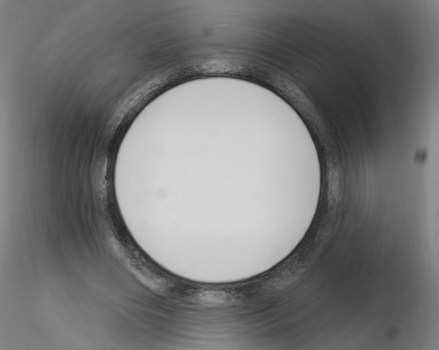 X0000115630490200912221252