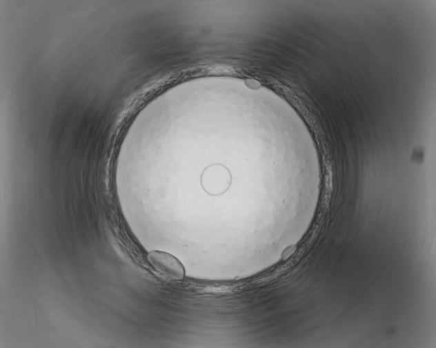 X0000115630492200912221252