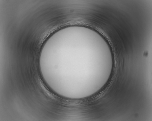 X0000115630493200912221252