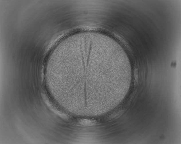 X0000115630494200912221252