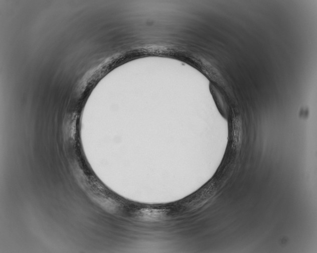 X0000115630495200912221252