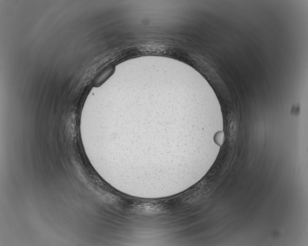 X0000115630498200912221252