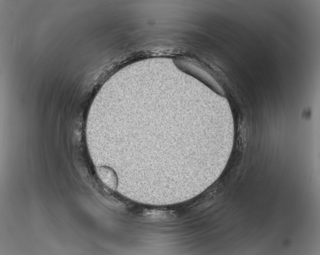 X0000115630499200912221252