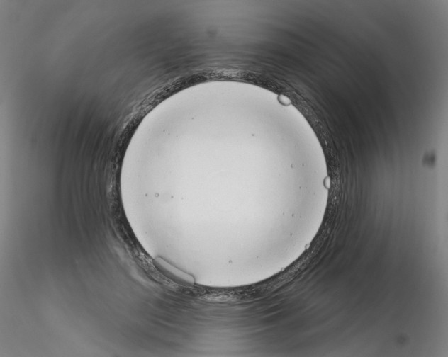 X0000115630500200912221252
