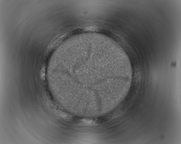 X0000115630502200912221252