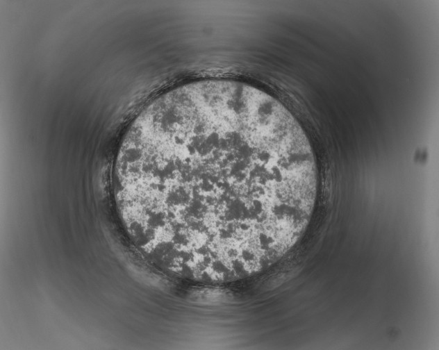 X0000115630503200912221252