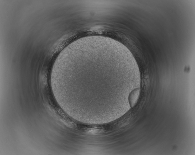 X0000115630504200912221252