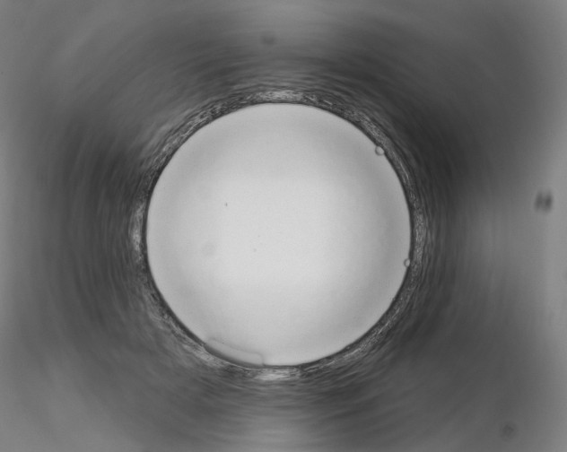 X0000115630505200912221252