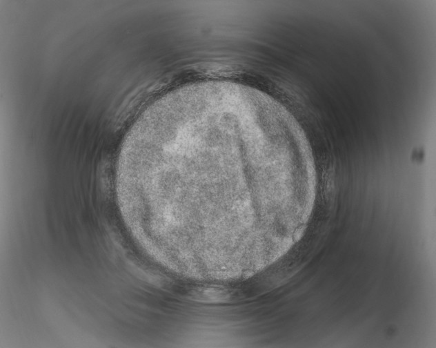 X0000115630506200912221252