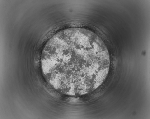 X0000115630507200912221252