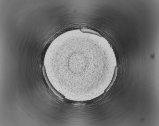 X0000115630508200912221252