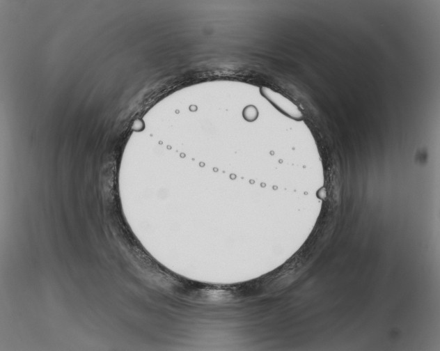 X0000115630509200912221252