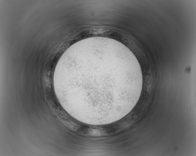 X0000115630510200912221252