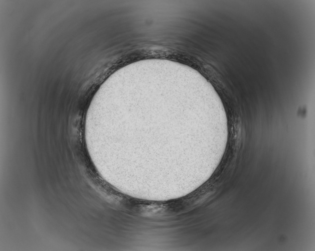 X0000115630511200912221252