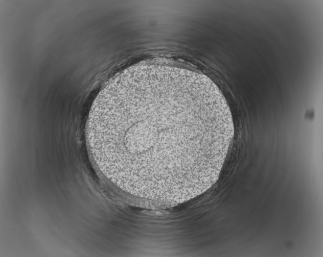 X0000115630512200912221252