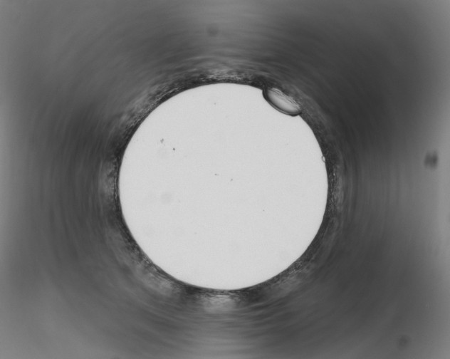 X0000115630513200912221252