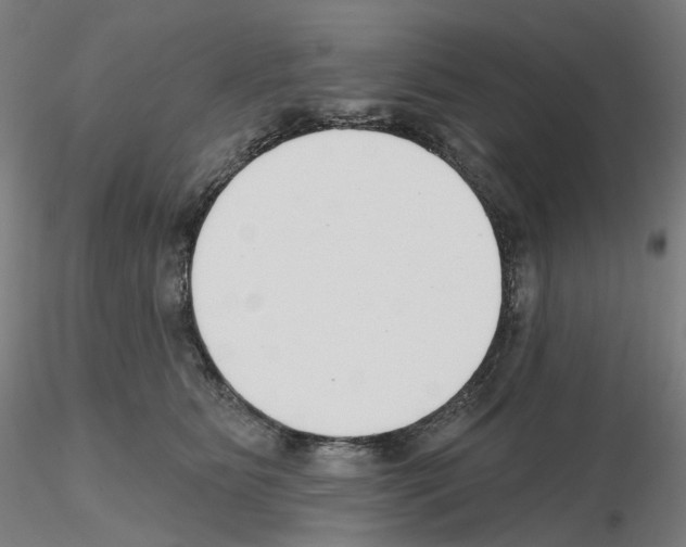 X0000115630515200912221252