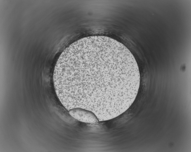 X0000115630516200912221252