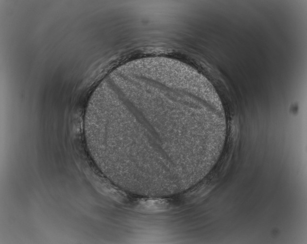 X0000115630517200912221252
