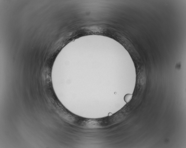 X0000115630518200912221252