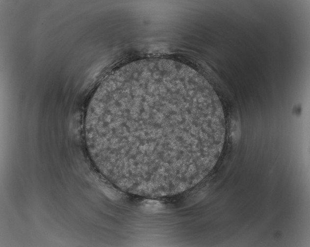 X0000115630519200912221252