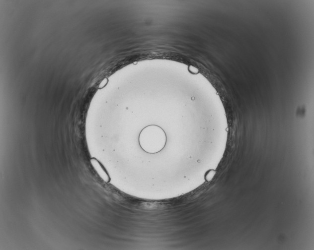 X0000115630520200912221252