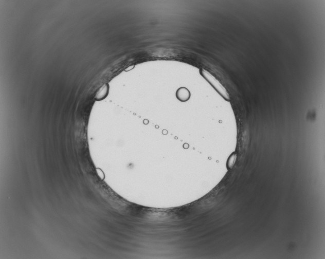 X0000115630521200912221252