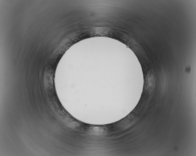 X0000115630522200912221252