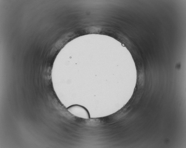 X0000115630525200912221252