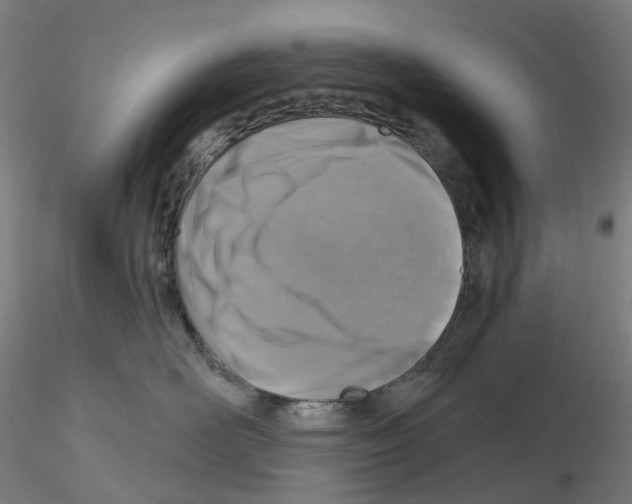 X0000115630526200912221252
