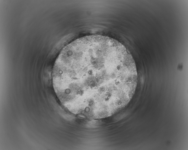 X0000115630527200912221252