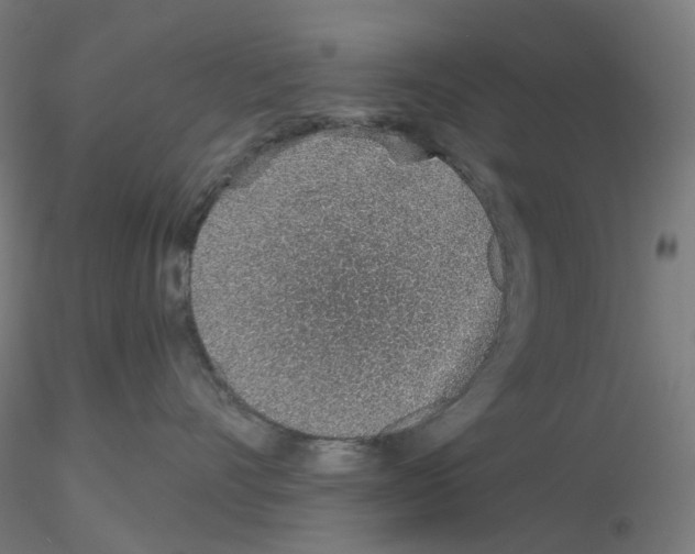X0000115630528200912221252
