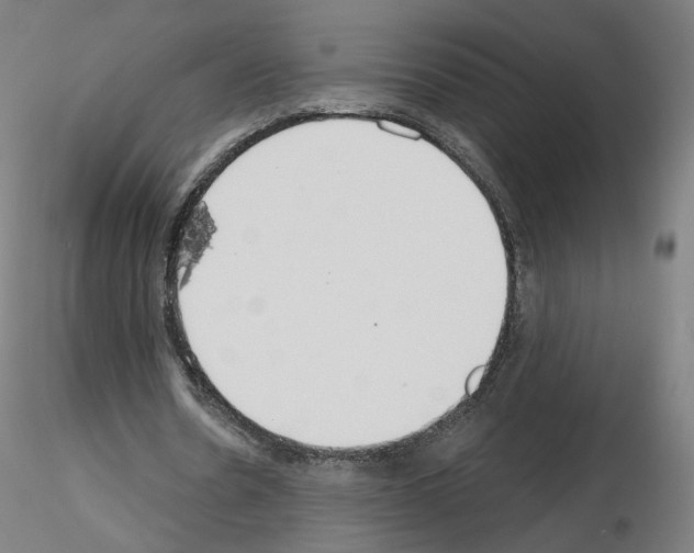 X0000115630530200912221251