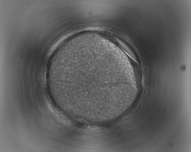 X0000115630531200912221251