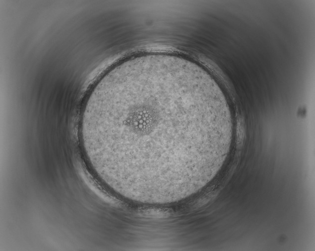X0000115630533200912221251