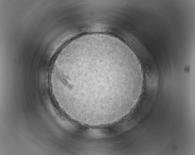 X0000115630534200912221251