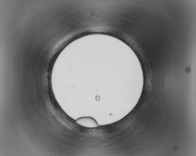 X0000115630535200912221251