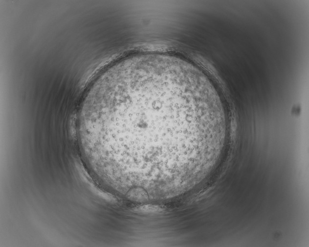 X0000115630537200912221251