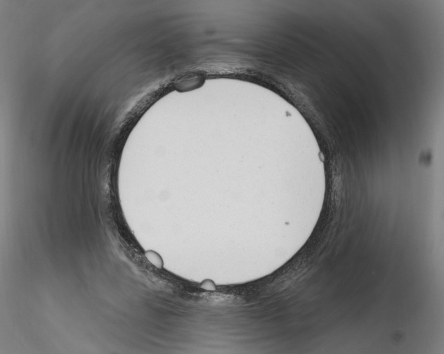 X0000115630539200912221251