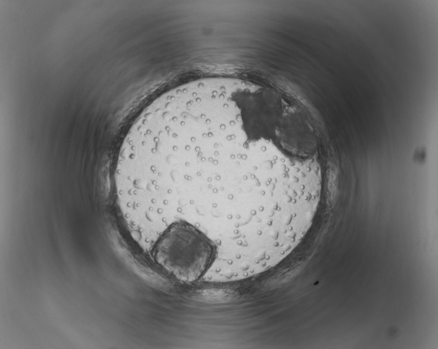 X0000115630541200912221251