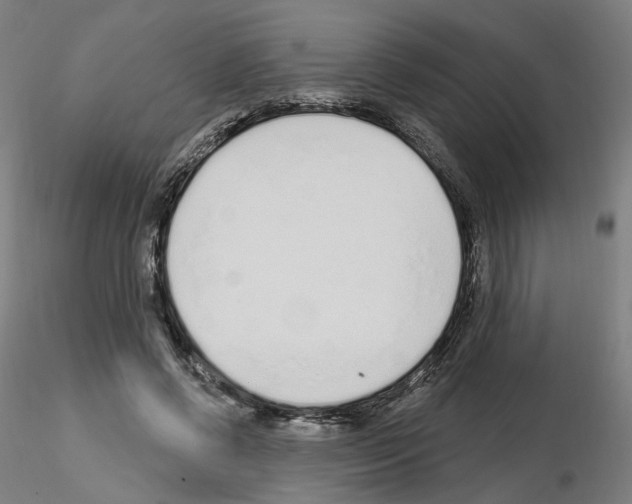 X0000115630542200912221251