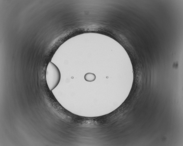 X0000115630543200912221251