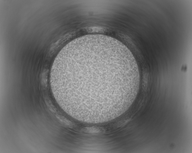 X0000115630545200912221251