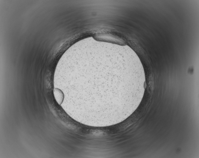 X0000115630547200912221251
