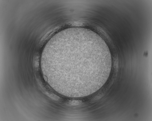 X0000115630549200912221251
