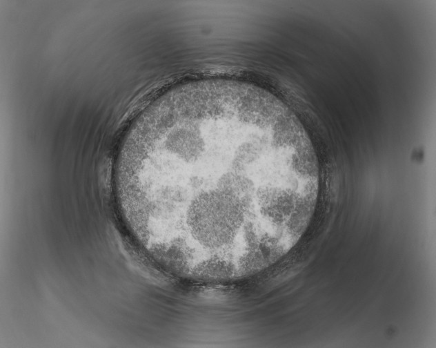 X0000115630550200912221251