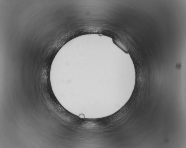 X0000115630551200912221251